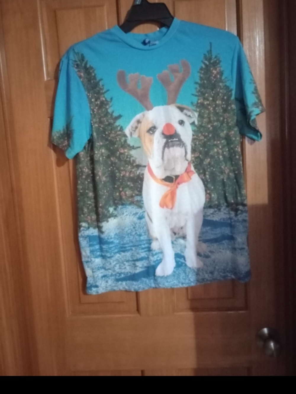 Divided Turquoise Bulldog Holiday Tee with Orange Accent